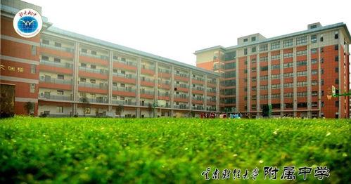 云南财大新生爆料视频,揭秘校园生活与学习环境