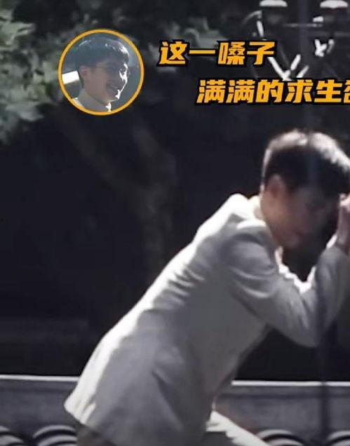 小凯娱乐爆料视频,揭秘娱乐圈幕后真相  第1张